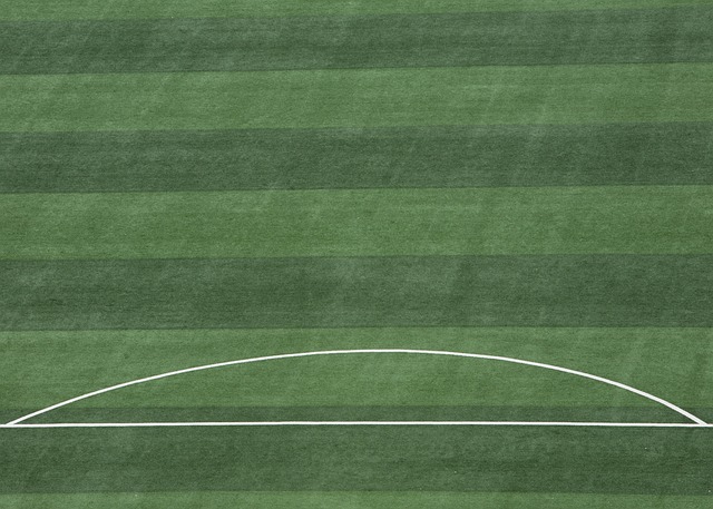 从两个球员 从两个球员