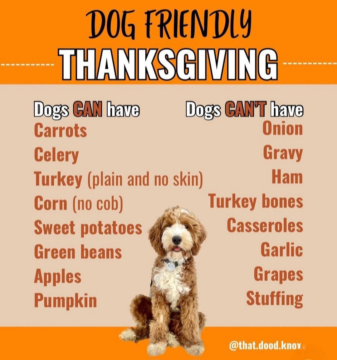 也起着关键 也起着关键