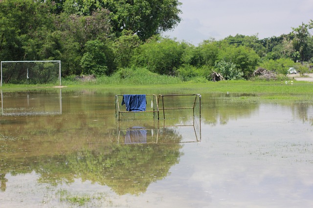 总的来说 总的来说