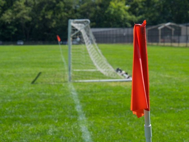 场的男人 场的男人