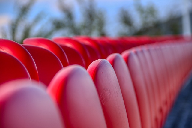 也是湖人队 也是湖人队