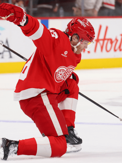 在法甲联赛 在法甲联赛