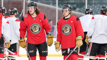 日本进行 日本进行